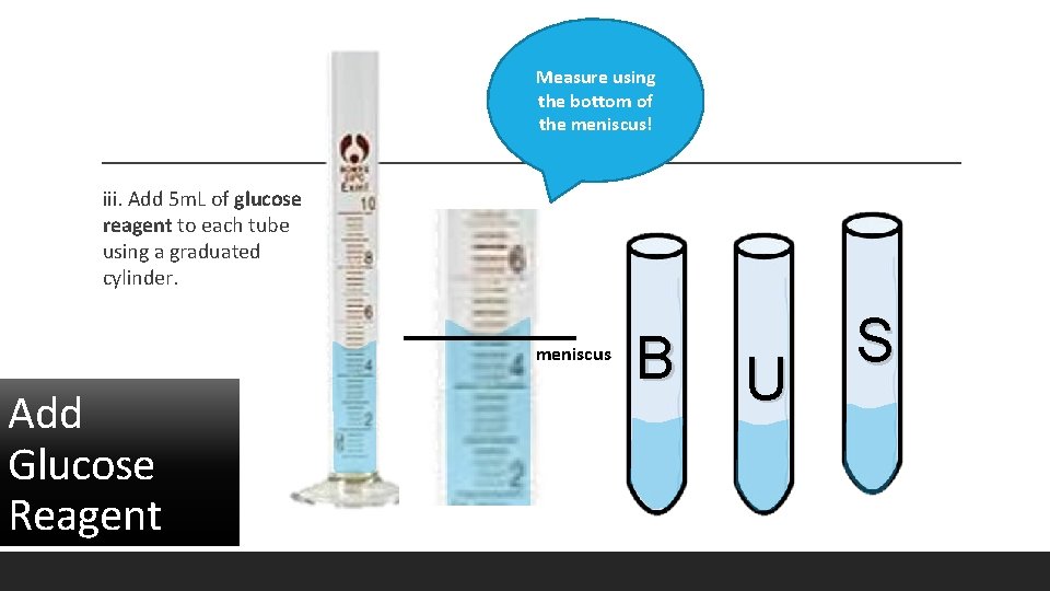 Measure using the bottom of the meniscus! iii. Add 5 m. L of glucose