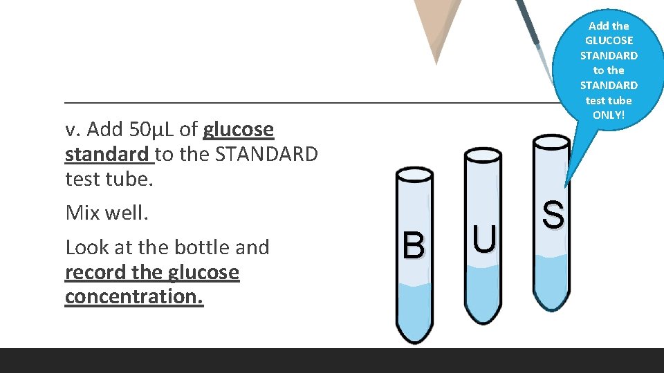  v. Add 50μL of glucose standard to the STANDARD test tube. Mix well.