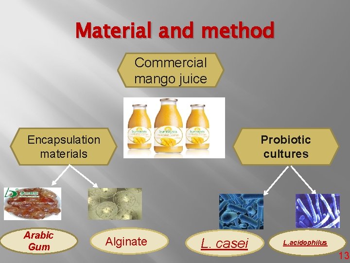 Material and method Commercial mango juice Encapsulation materials Arabic Gum Probiotic cultures Alginate L.