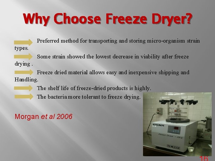 Why Choose Freeze Dryer? Preferred method for transporting and storing micro organism strain types.