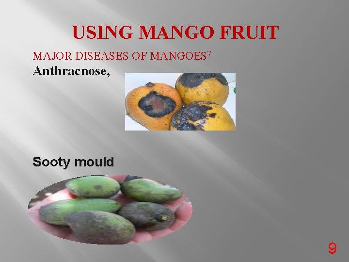 USING MANGO FRUIT MAJOR DISEASES OF MANGOES 7 Anthracnose, Sooty mould 9 