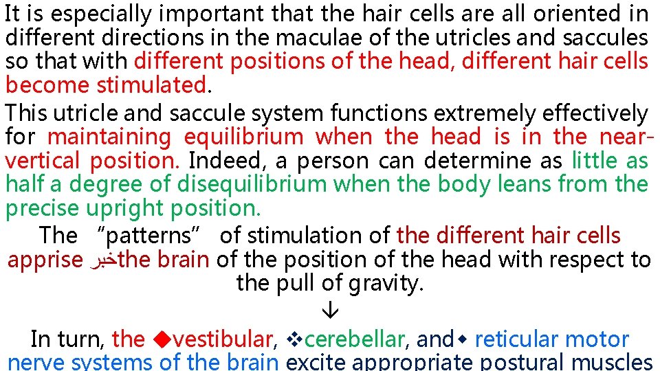 It is especially important that the hair cells are all oriented in different directions
