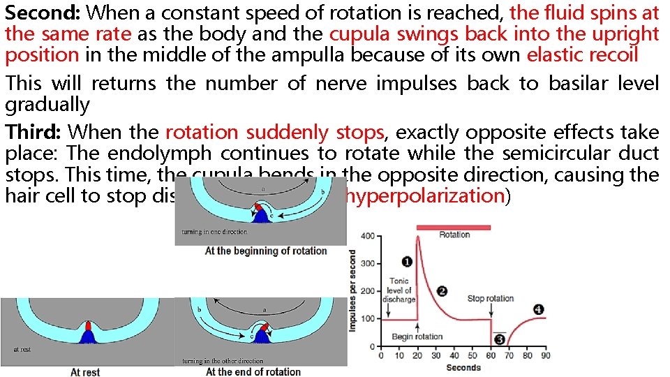 Second: When a constant speed of rotation is reached, the fluid spins at the