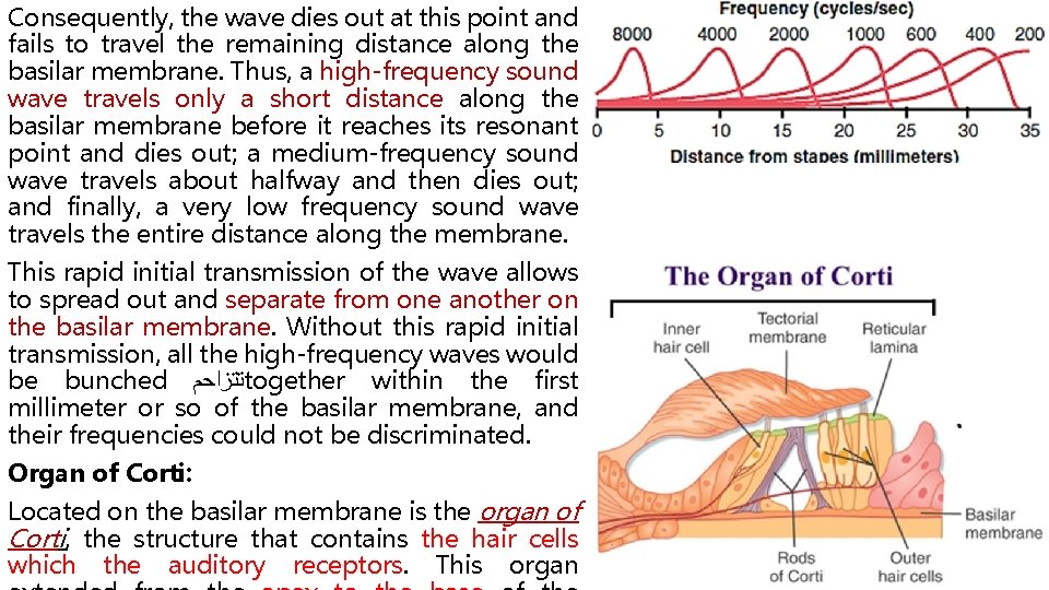 Consequently, the wave dies out at this point and fails to travel the remaining