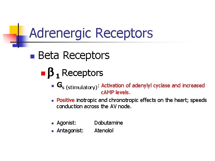 Adrenergic Receptors n Beta Receptors n 1 Receptors n n Gs (stimulatory): Activation of Adrenergic Receptors n Beta Receptors n 1 Receptors n n Gs (stimulatory): Activation of