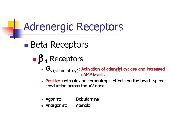 Adrenergic Receptors n Beta Receptors n 1 Receptors n n Gs (stimulatory): Activation of