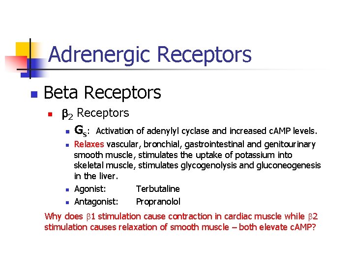 Adrenergic Receptors n Beta Receptors n 2 Receptors n Gs: Activation of adenylyl cyclase Adrenergic Receptors n Beta Receptors n 2 Receptors n Gs: Activation of adenylyl cyclase