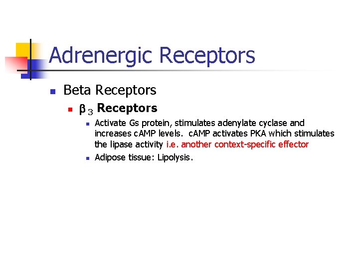 Adrenergic Receptors n Beta Receptors n 3 Receptors n n Activate Gs protein, stimulates
