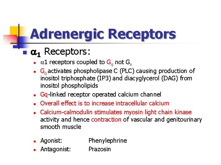 Adrenergic Receptors n 1 Receptors: n n n n 1 receptors coupled to Gq Adrenergic Receptors n 1 Receptors: n n n n 1 receptors coupled to Gq