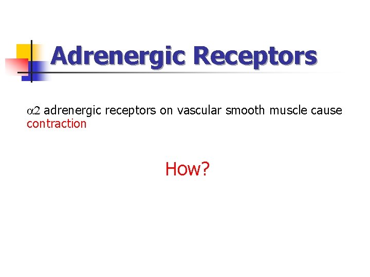 Adrenergic Receptors 2 adrenergic receptors on vascular smooth muscle cause contraction How? Adrenergic Receptors 2 adrenergic receptors on vascular smooth muscle cause contraction How?
