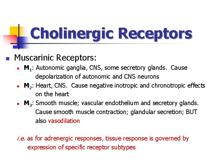 Cholinergic Receptors n Muscarinic Receptors: n n n M 1: Autonomic ganglia, CNS, some Cholinergic Receptors n Muscarinic Receptors: n n n M 1: Autonomic ganglia, CNS, some