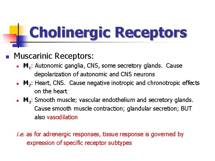 Cholinergic Receptors n Muscarinic Receptors: n n n M 1: Autonomic ganglia, CNS, some