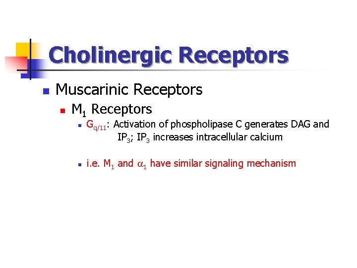 Cholinergic Receptors n Muscarinic Receptors n M 1 Receptors n n Gq/11: Activation of