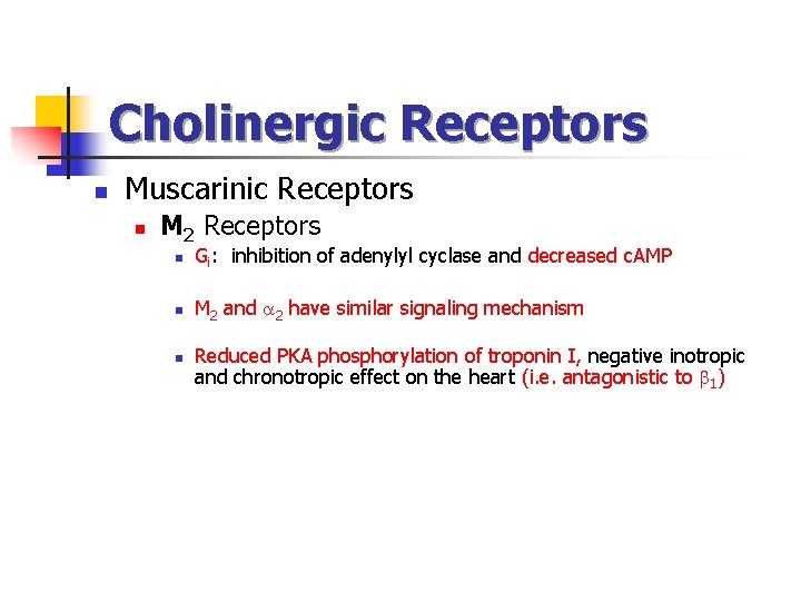 Cholinergic Receptors n Muscarinic Receptors n M 2 Receptors n Gi: inhibition of adenylyl