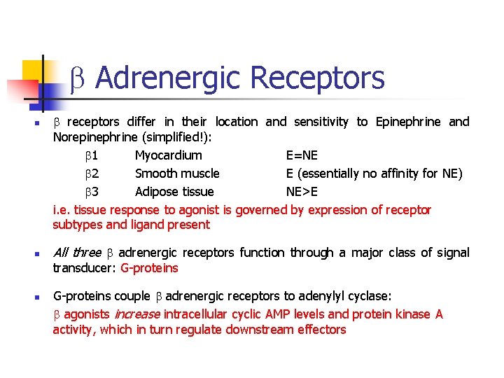  Adrenergic Receptors n n receptors differ in their location and sensitivity to Epinephrine