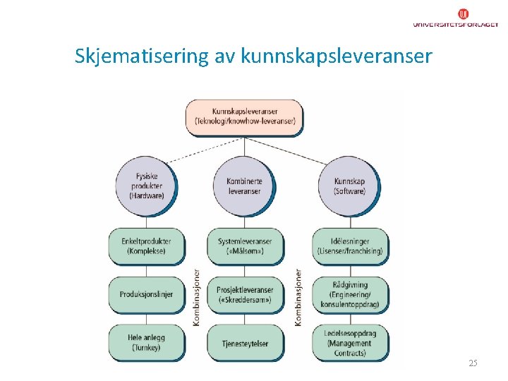 Skjematisering av kunnskapsleveranser 25 