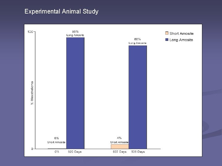 Experimental Animal Study 