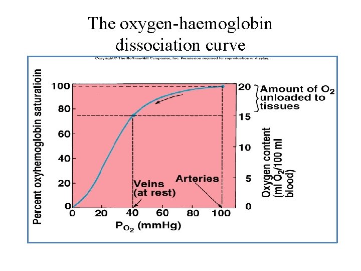 The oxygen-haemoglobin dissociation curve 