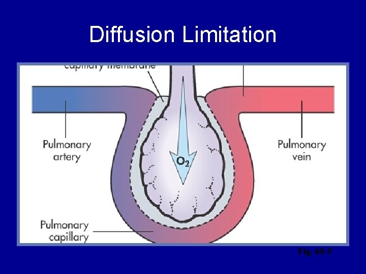 Diffusion Limitation Fig. 68 -5 