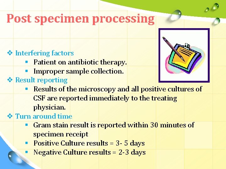 Post specimen processing v Interfering factors § Patient on antibiotic therapy. § Improper sample