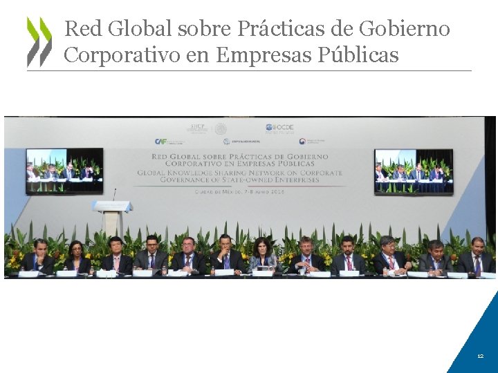 Red Global sobre Prácticas de Gobierno Corporativo en Empresas Públicas 12 
