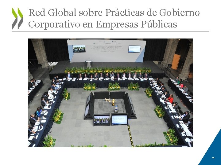 Red Global sobre Prácticas de Gobierno Corporativo en Empresas Públicas 14 