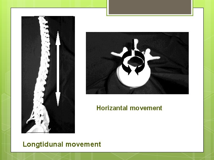 Horizantal movement Longtidunal movement 