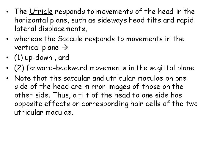 • The Utricle responds to movements of the head in the horizontal plane, • The Utricle responds to movements of the head in the horizontal plane,