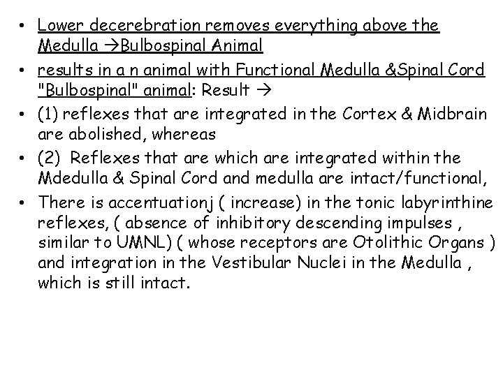  • Lower decerebration removes everything above the Medulla Bulbospinal Animal • results in