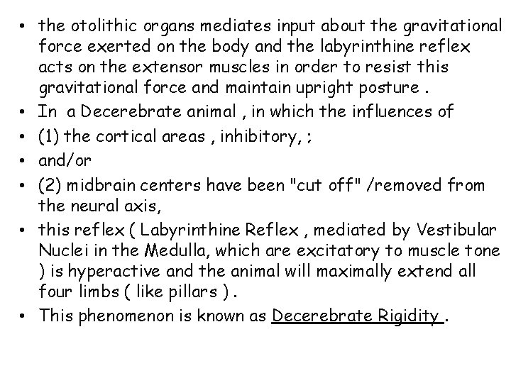 • the otolithic organs mediates input about the gravitational force exerted on the • the otolithic organs mediates input about the gravitational force exerted on the