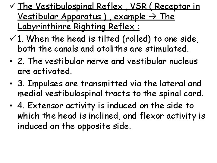 ü The Vestibulospinal Reflex , VSR ( Receptor in Vestibular Apparatus ) , example