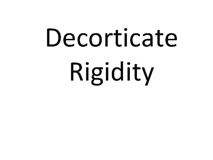Decorticate Rigidity Decorticate Rigidity