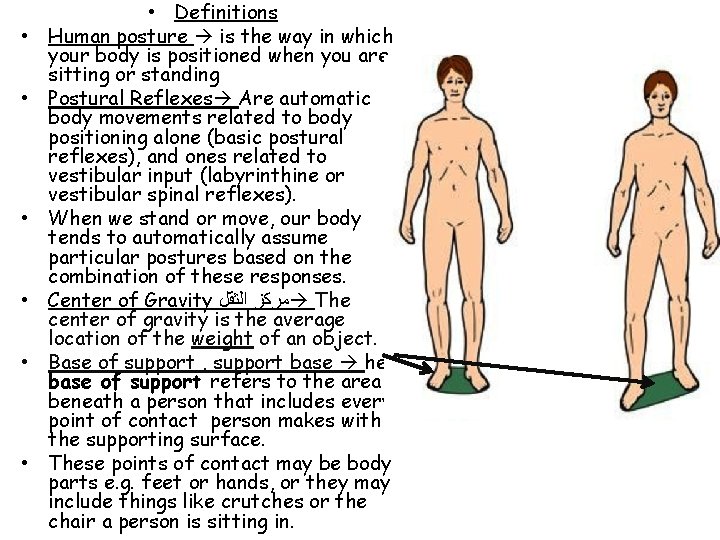  • • Definitions Human posture is the way in which your body is