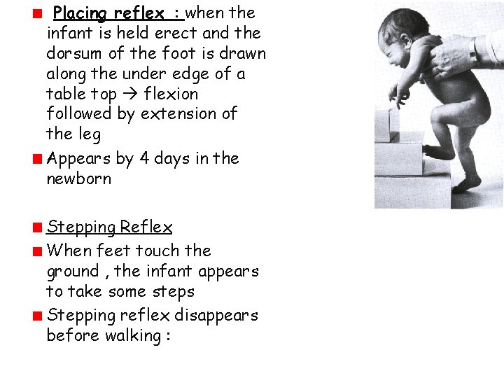 Placing reflex : when the infant is held erect and the dorsum of the Placing reflex : when the infant is held erect and the dorsum of the