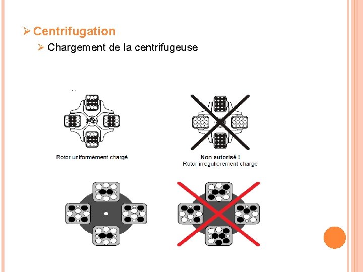 Ø Centrifugation Ø Chargement de la centrifugeuse 