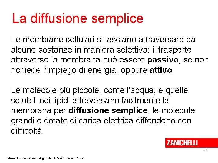 La diffusione semplice Le membrane cellulari si lasciano attraversare da alcune sostanze in maniera