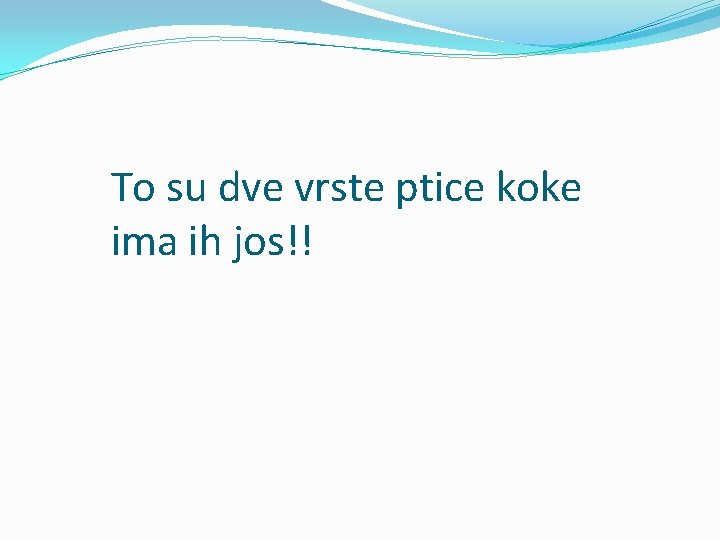 To su dve vrste ptice koke ima ih jos!! 