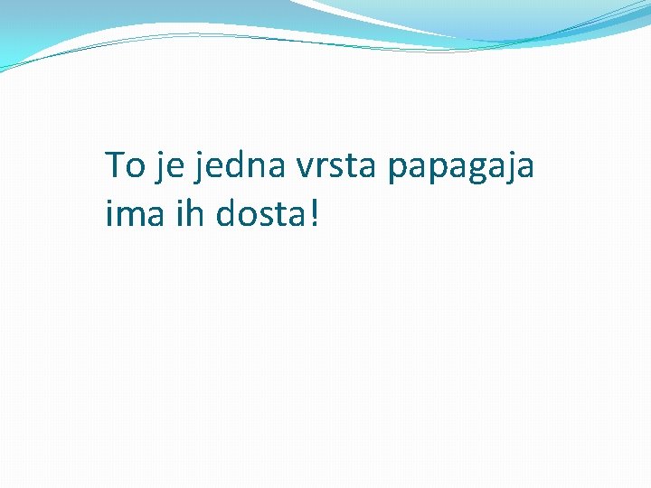 To je jedna vrsta papagaja ima ih dosta! 