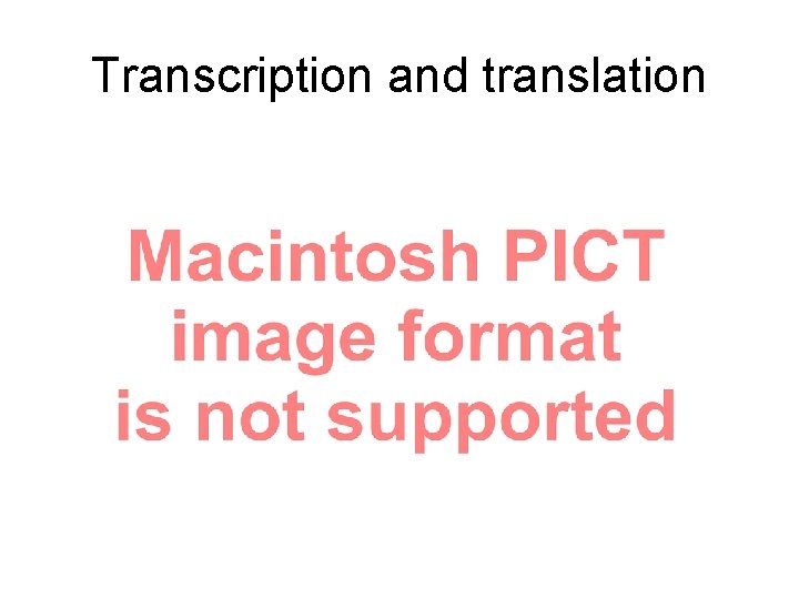 Transcription and translation 