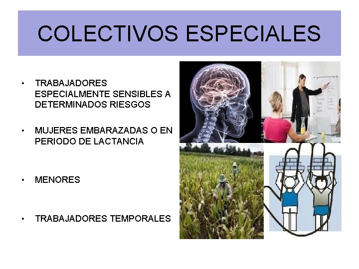 COLECTIVOS ESPECIALES • TRABAJADORES ESPECIALMENTE SENSIBLES A DETERMINADOS RIESGOS • MUJERES EMBARAZADAS O EN
