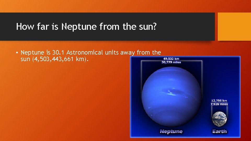 How far is Neptune from the sun? • Neptune is 30. 1 Astronomical units