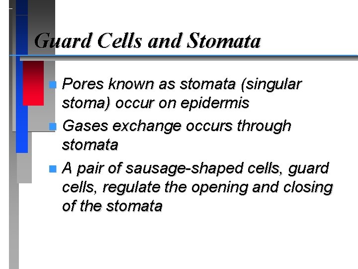 Guard Cells and Stomata Pores known as stomata (singular stoma) occur on epidermis n