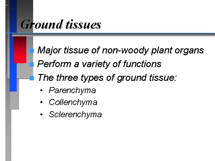 Ground tissues Major tissue of non-woody plant organs n Perform a variety of functions