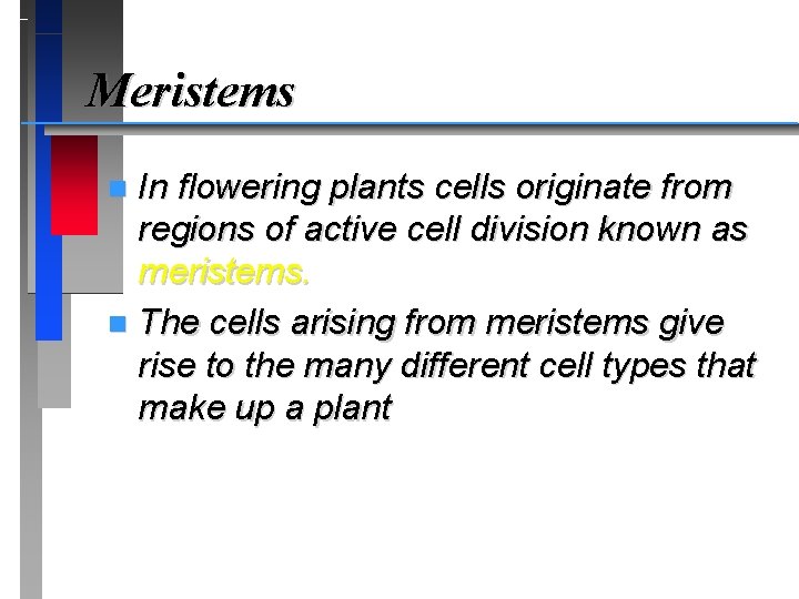 Meristems In flowering plants cells originate from regions of active cell division known as