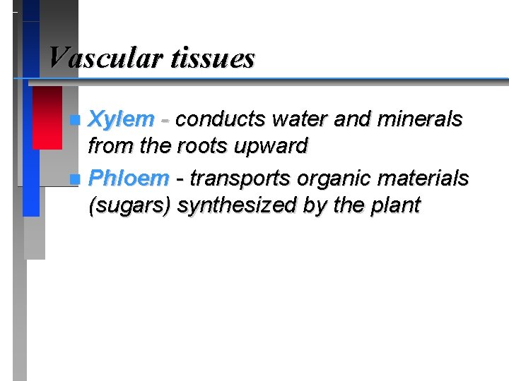 Vascular tissues Xylem - conducts water and minerals from the roots upward n Phloem