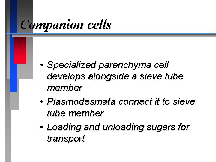 Companion cells • Specialized parenchyma cell develops alongside a sieve tube member • Plasmodesmata