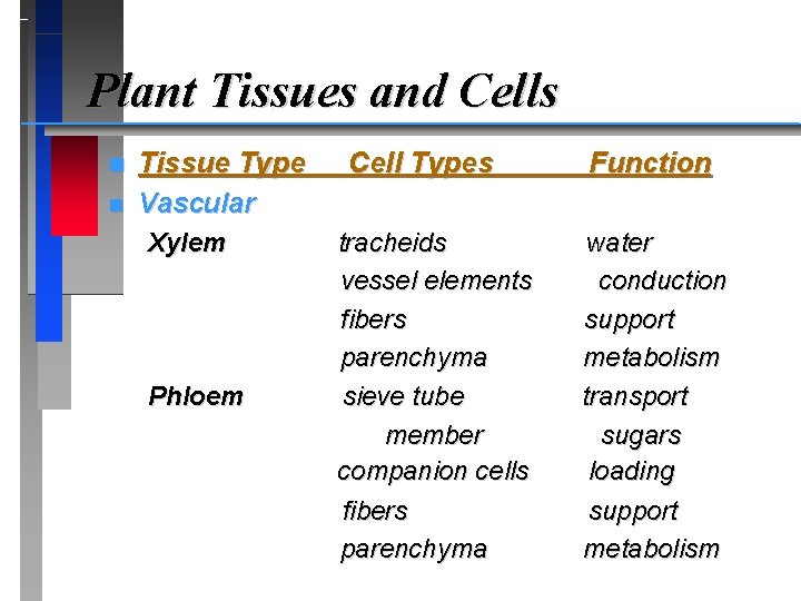 Plant Tissues and Cells n n Tissue Type Vascular Xylem Phloem Cell Types tracheids