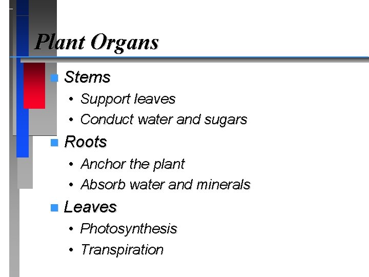 Plant Organs n Stems • Support leaves • Conduct water and sugars n Roots