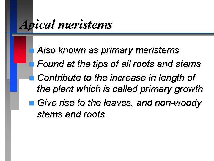 Apical meristems Also known as primary meristems n Found at the tips of all