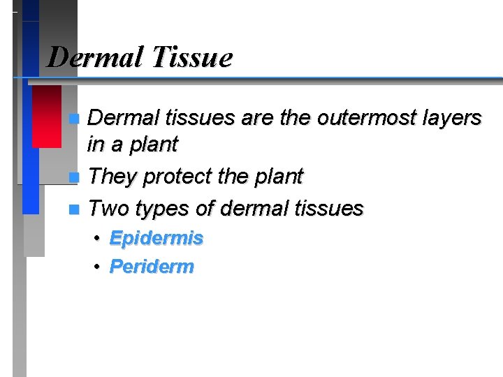 Dermal Tissue Dermal tissues are the outermost layers in a plant n They protect